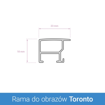Rama aluminiowa Toronto